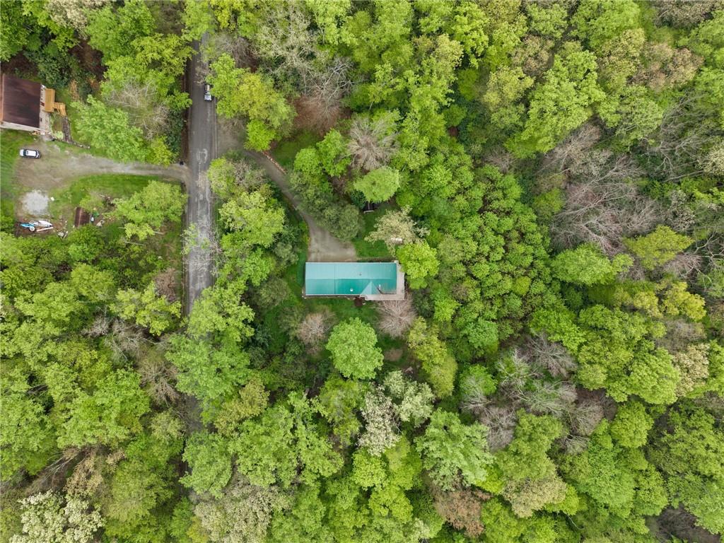 229 Birch Road Acme, PA 15610 - Photo 39 of 39
