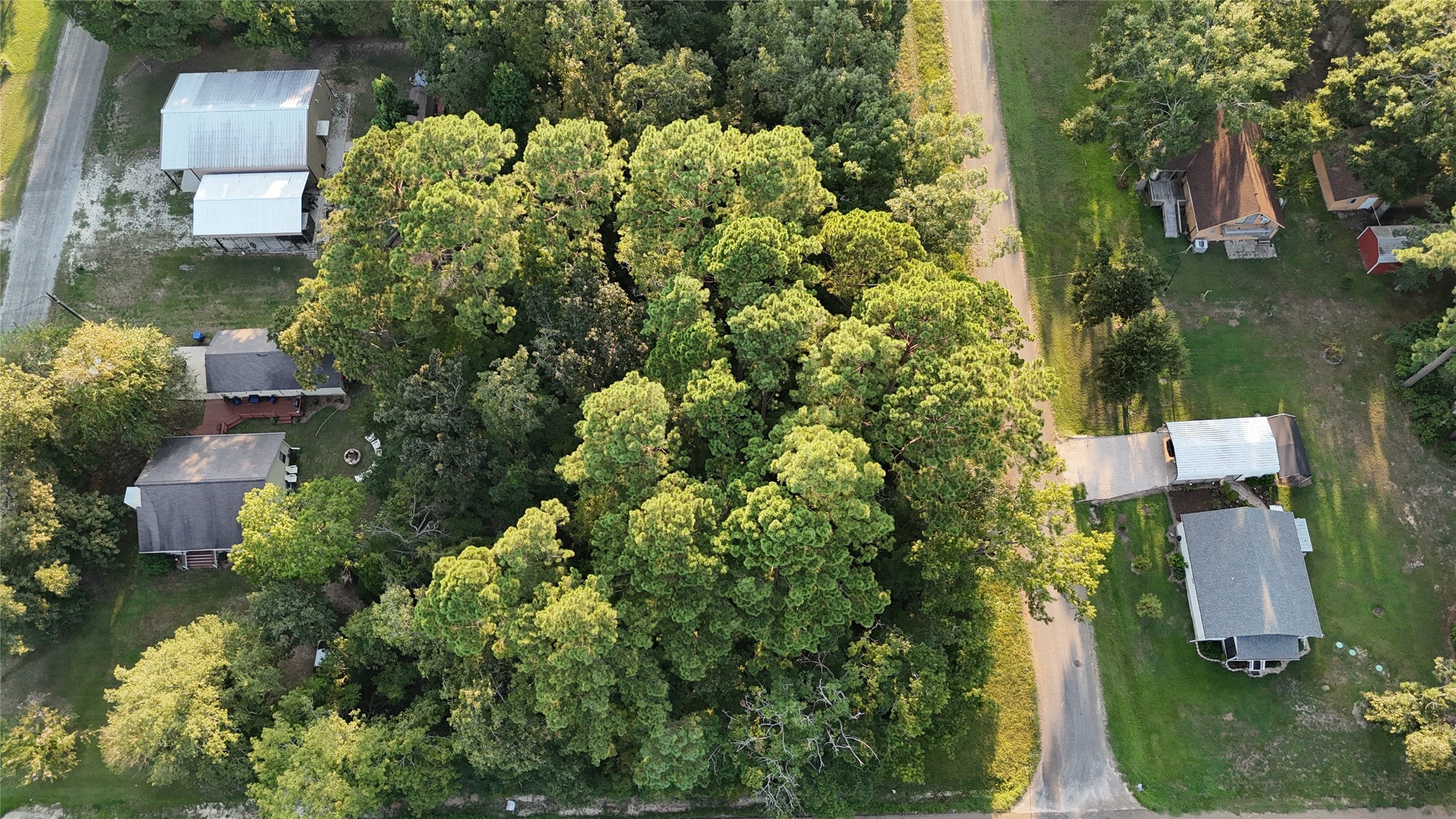 Tbd Laurel Road Onalaska, TX 77360 - Photo 1 of 6 an aerial view of a house with a yard and garden