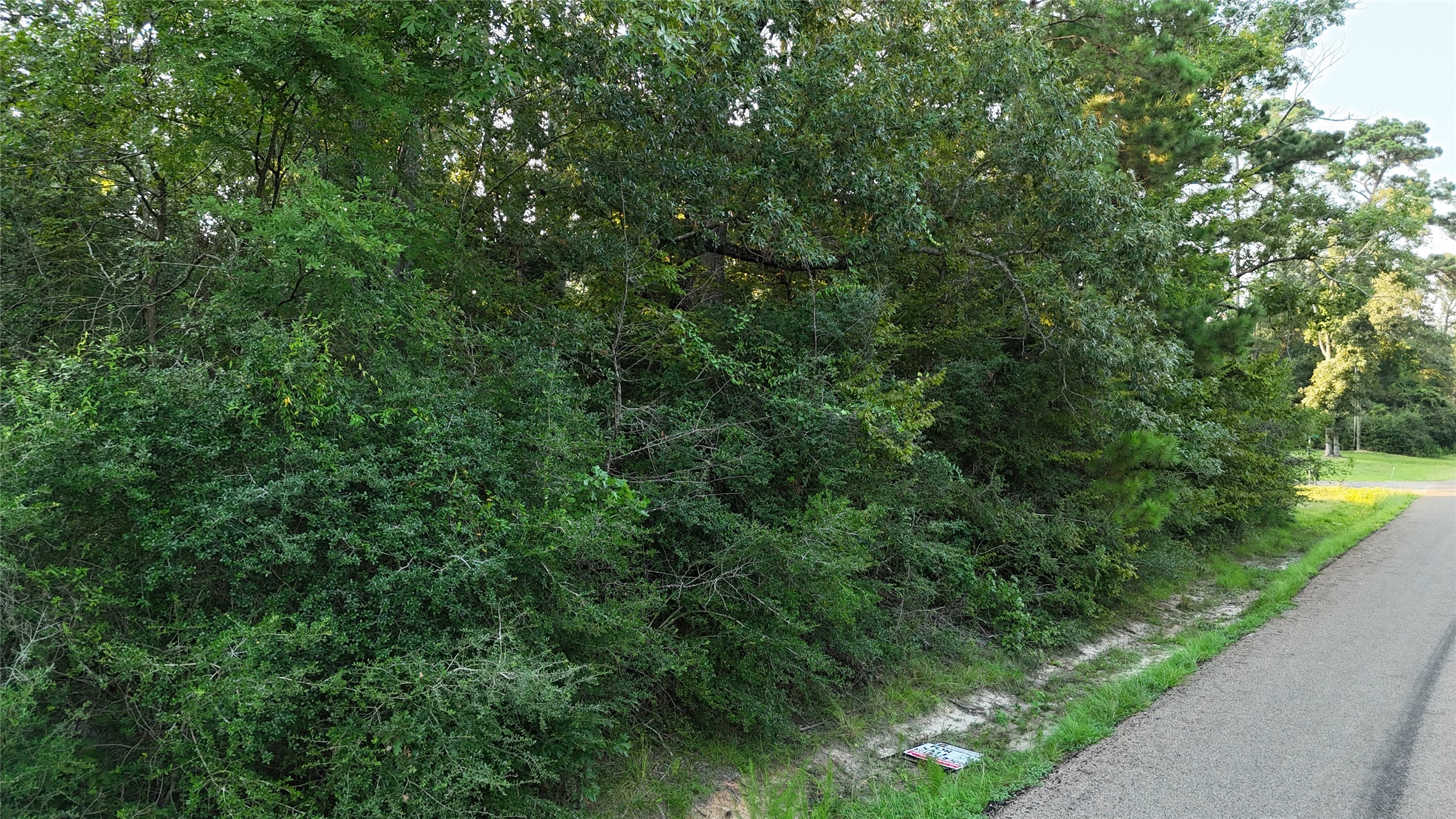 Tbd Laurel Road Onalaska, TX 77360 - Photo 2 of 6 a view of a forest with a tree
