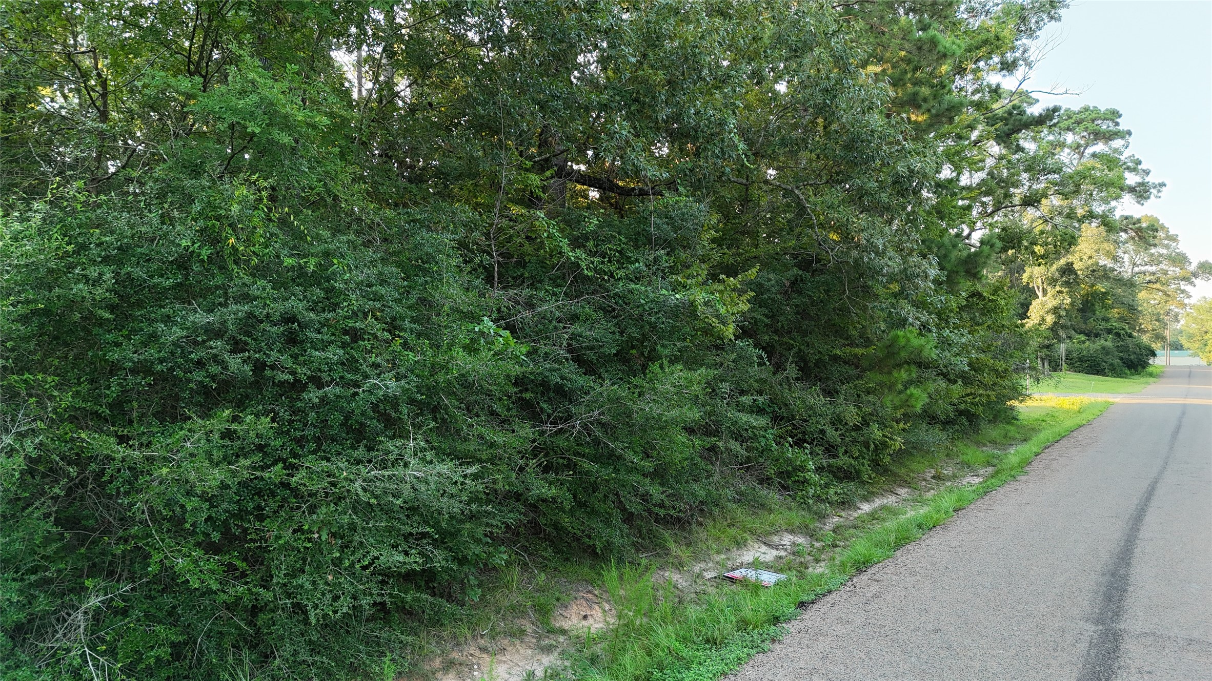 Tbd Laurel Road Onalaska, TX 77360 - Photo 3 of 6 a view of a garden with plants