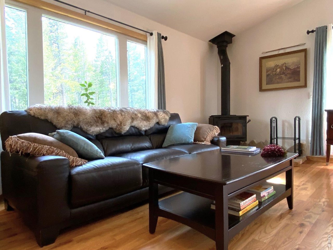 28 Valley View Lane Evergreen, CO 80439 - Photo 11 of 37 a living room with furniture and a window