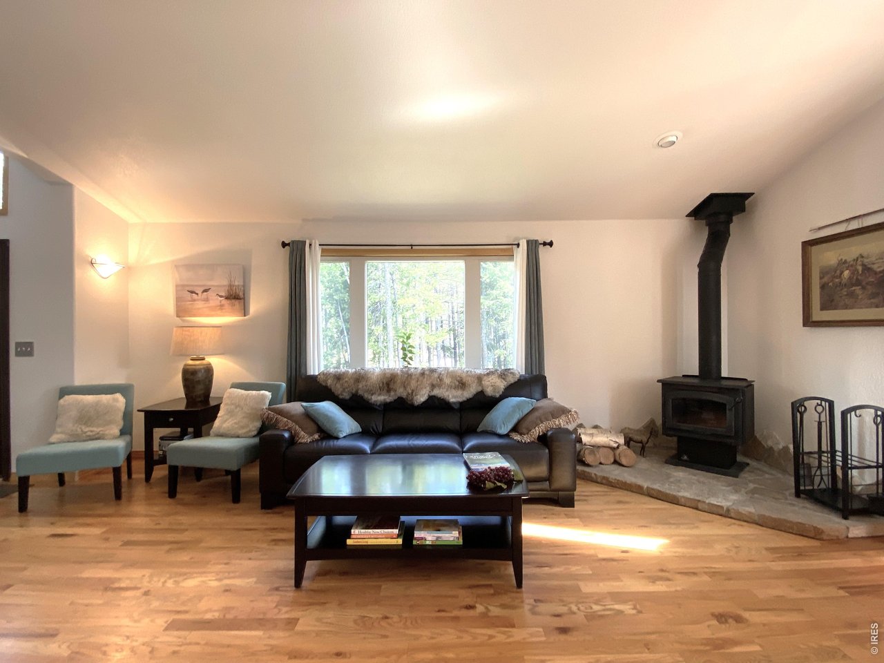 28 Valley View Lane Evergreen, CO 80439 - Photo 10 of 37 a living room with furniture window and a table