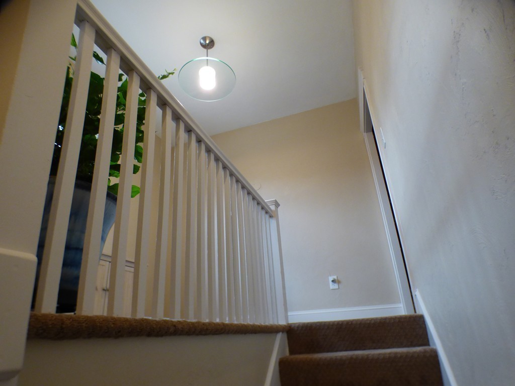 15 Bothwell Road Boston, MA 02135 - Photo 26 of 27 Gallery Image 26
