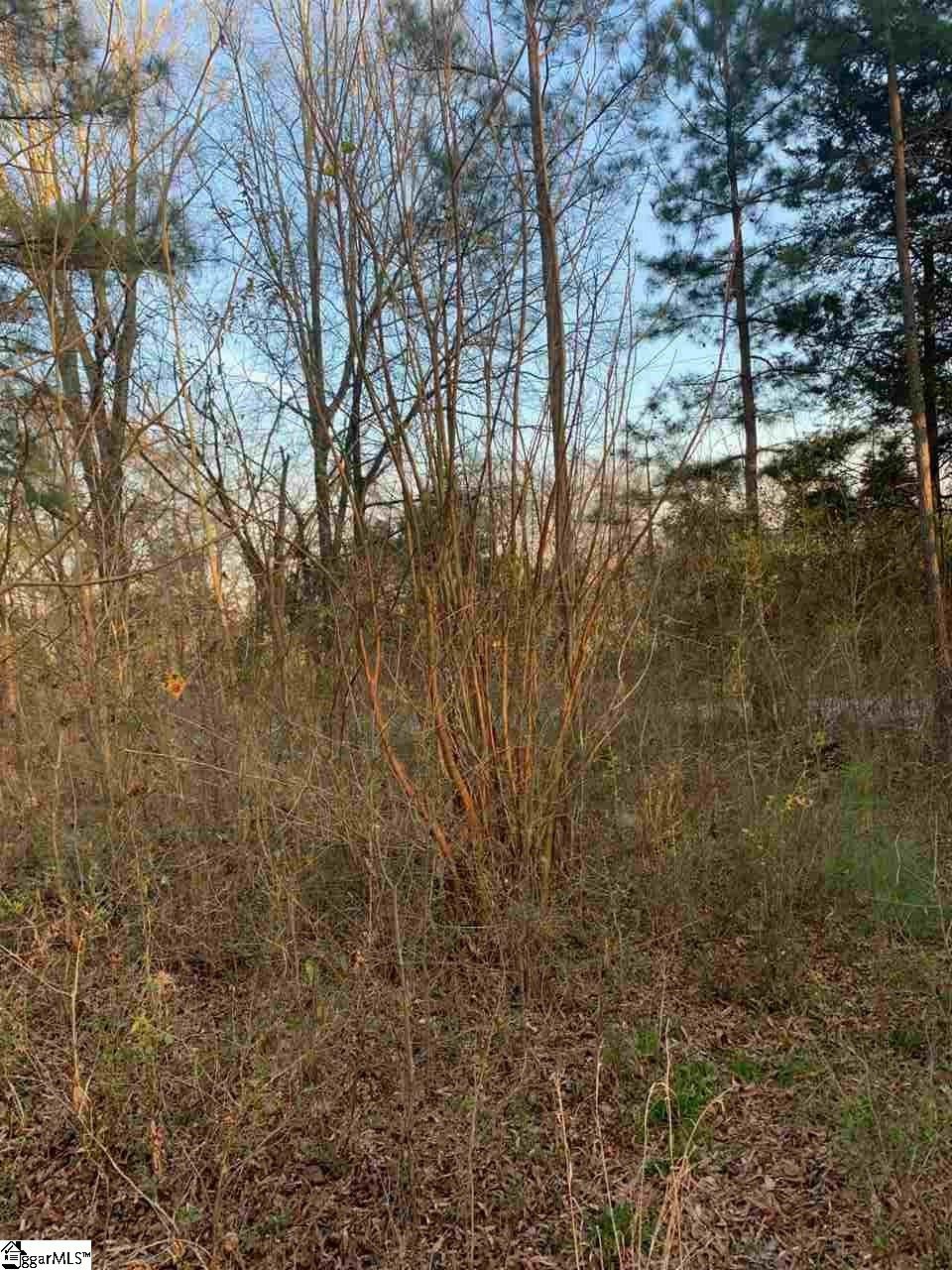 144 Leesville Church Road Clinton, SC 29325 - Photo 1 of 4 Gallery Image 1