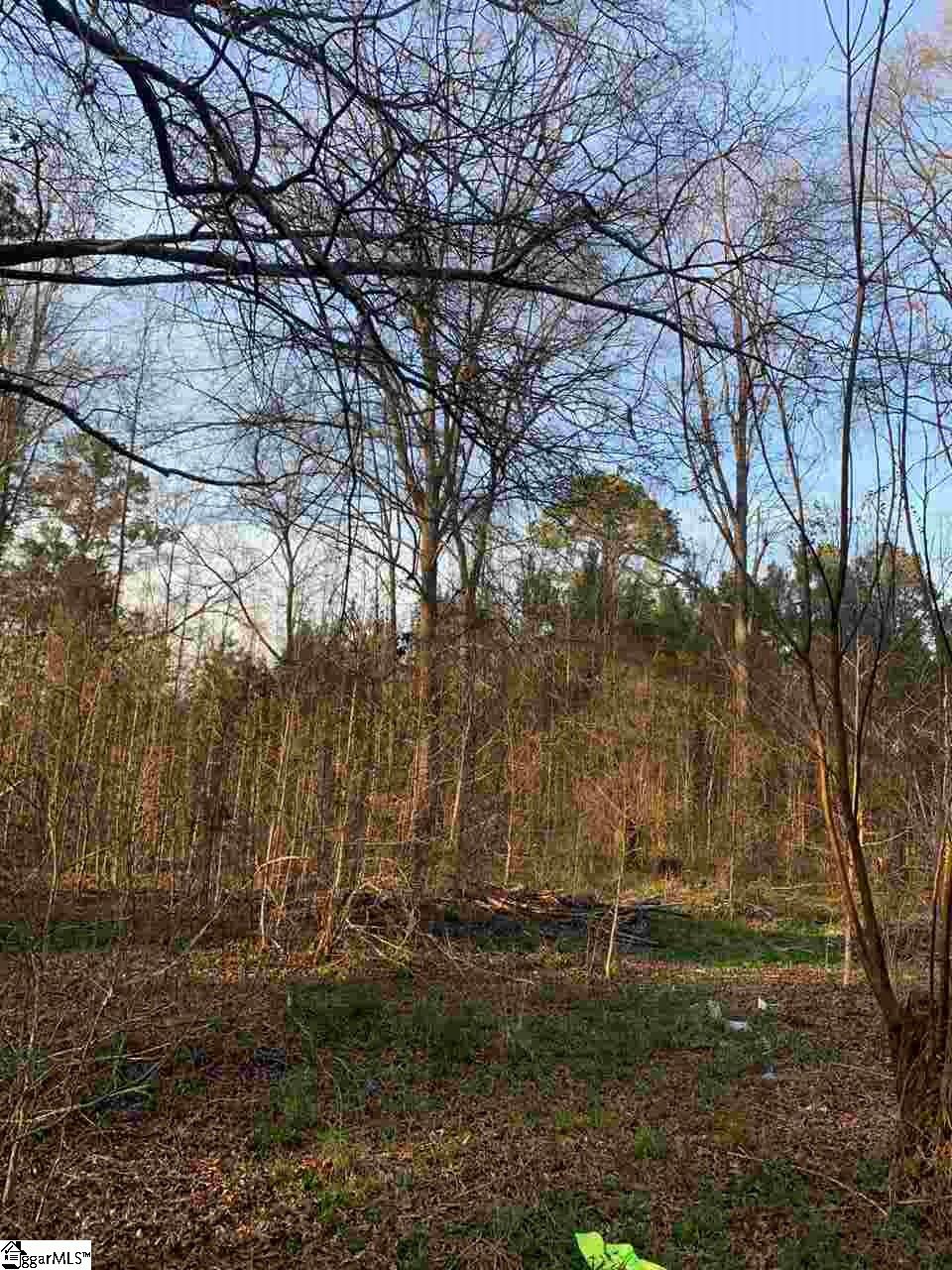144 Leesville Church Road Clinton, SC 29325 - Photo 3 of 4 Gallery Image 3