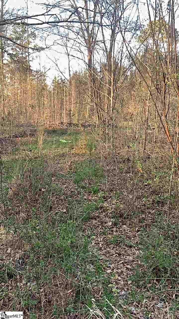 144 Leesville Church Road Clinton, SC 29325 - Photo 4 of 4 Gallery Image 4
