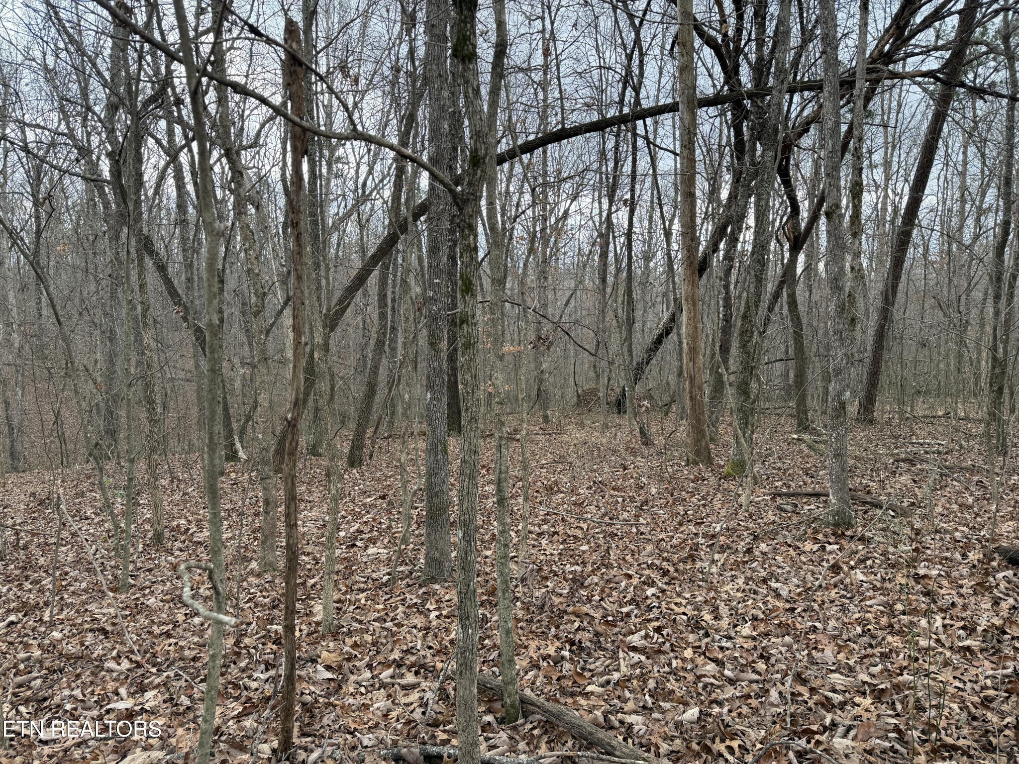 0 Crest Road Monterey, TN 38574 - Photo 2 of 9