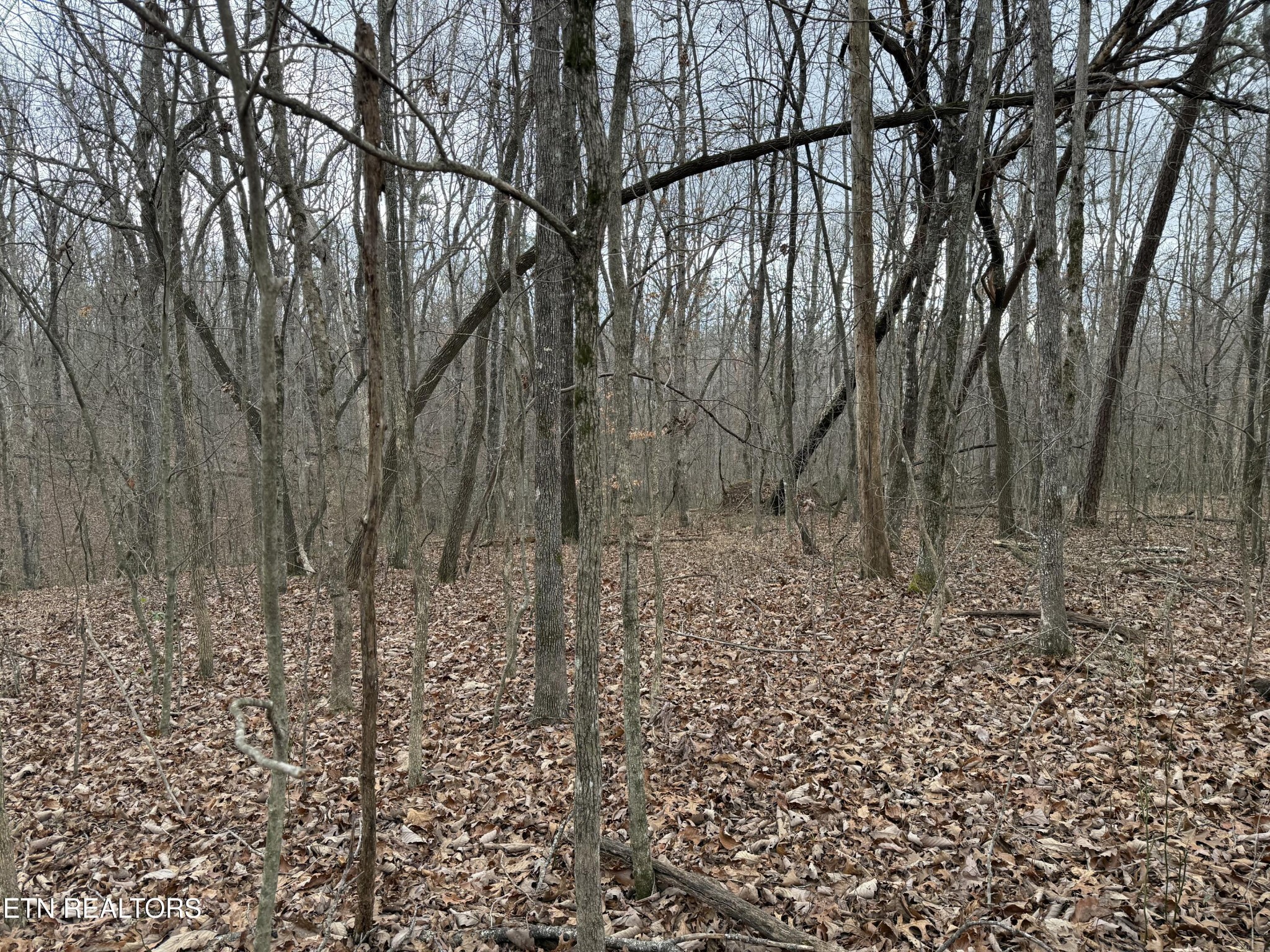 0 Crest Road Monterey, TN 38574 - Photo 5 of 9