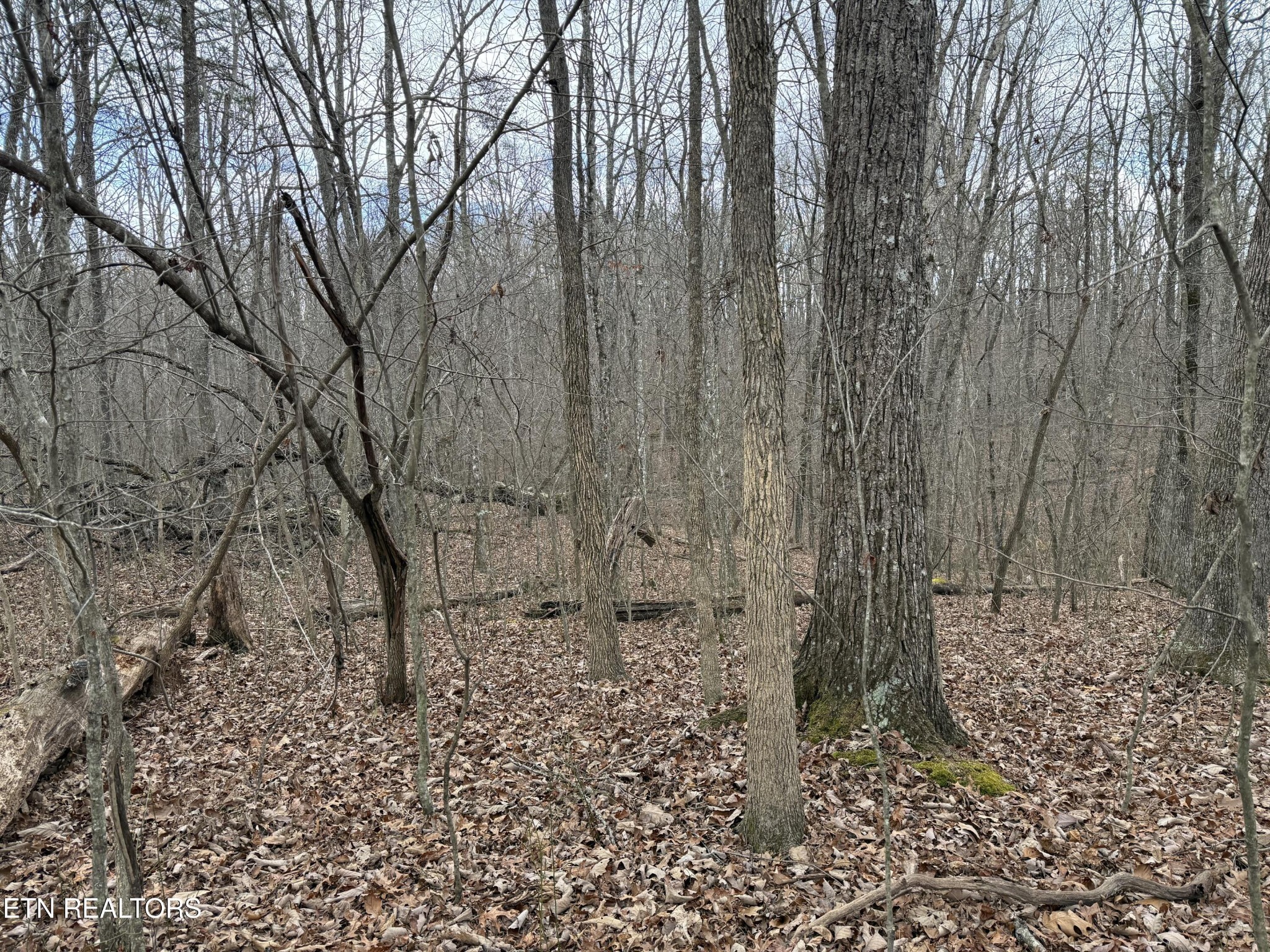 0 Crest Road Monterey, TN 38574 - Photo 6 of 9