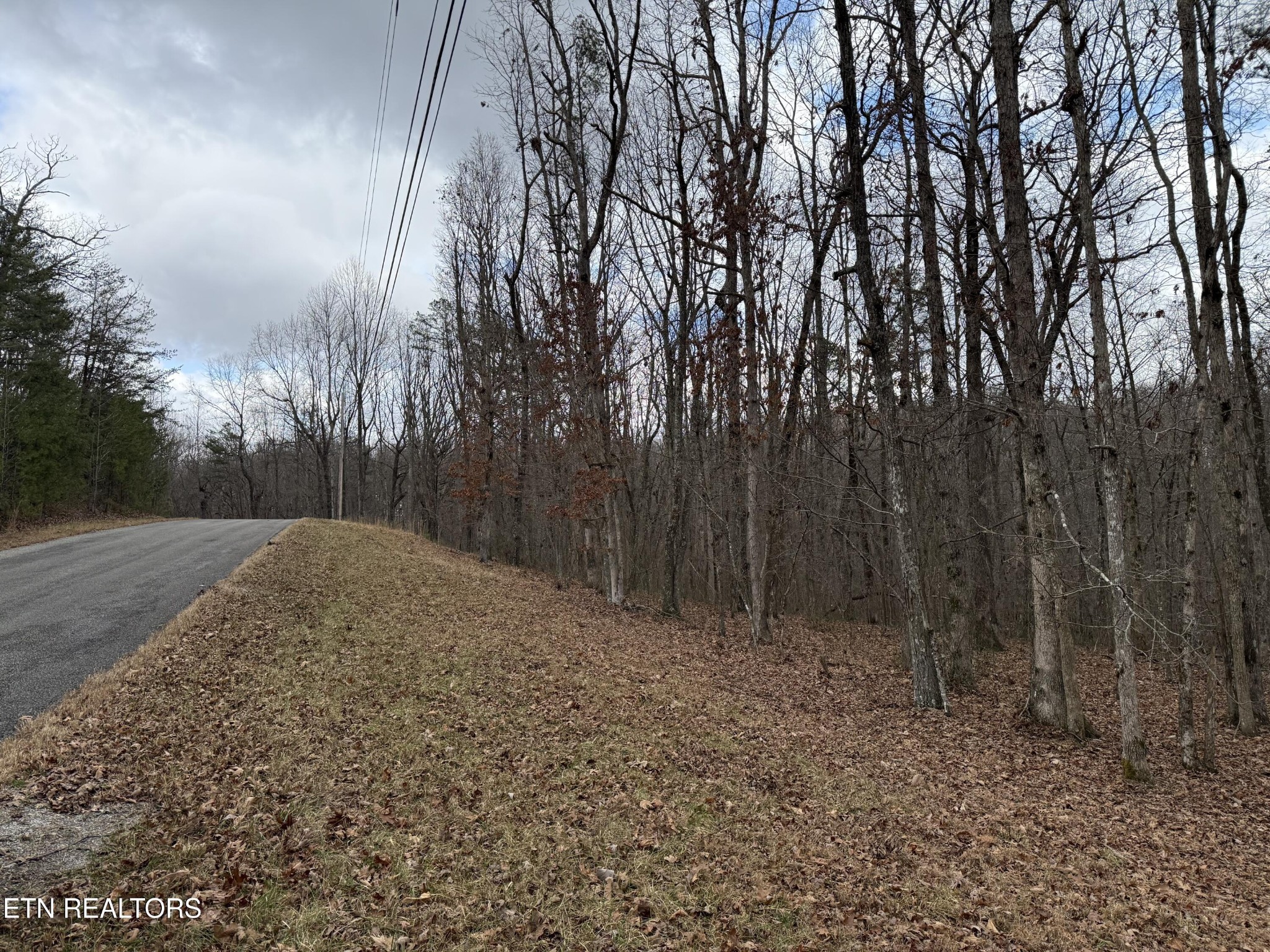 0 Crest Road Monterey, TN 38574 - Photo 9 of 9