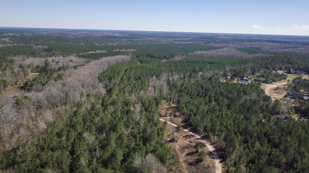 235 Menros Way Appling, GA 30802 - Photo 2 of 6