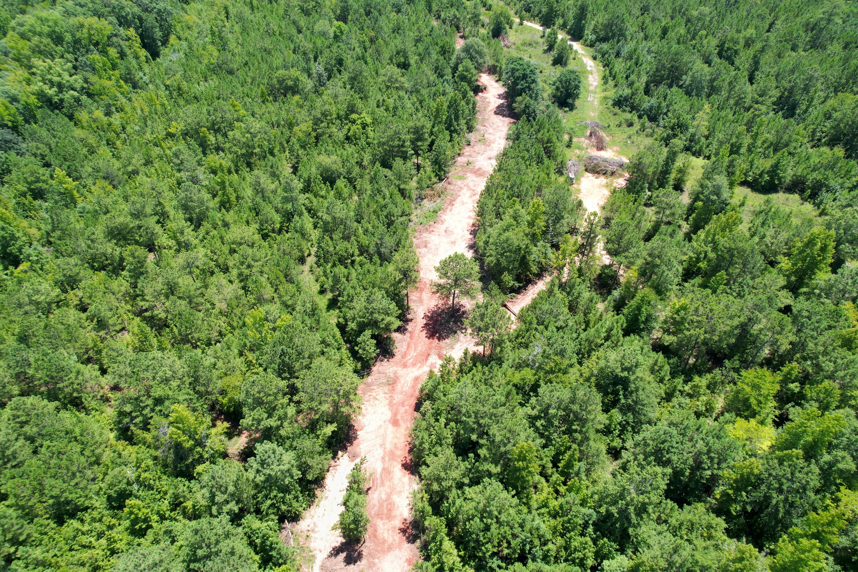 235 Menros Way Appling, GA 30802 - Photo 3 of 6 467961BF-129C-43ED-8144-FD9628E734B8