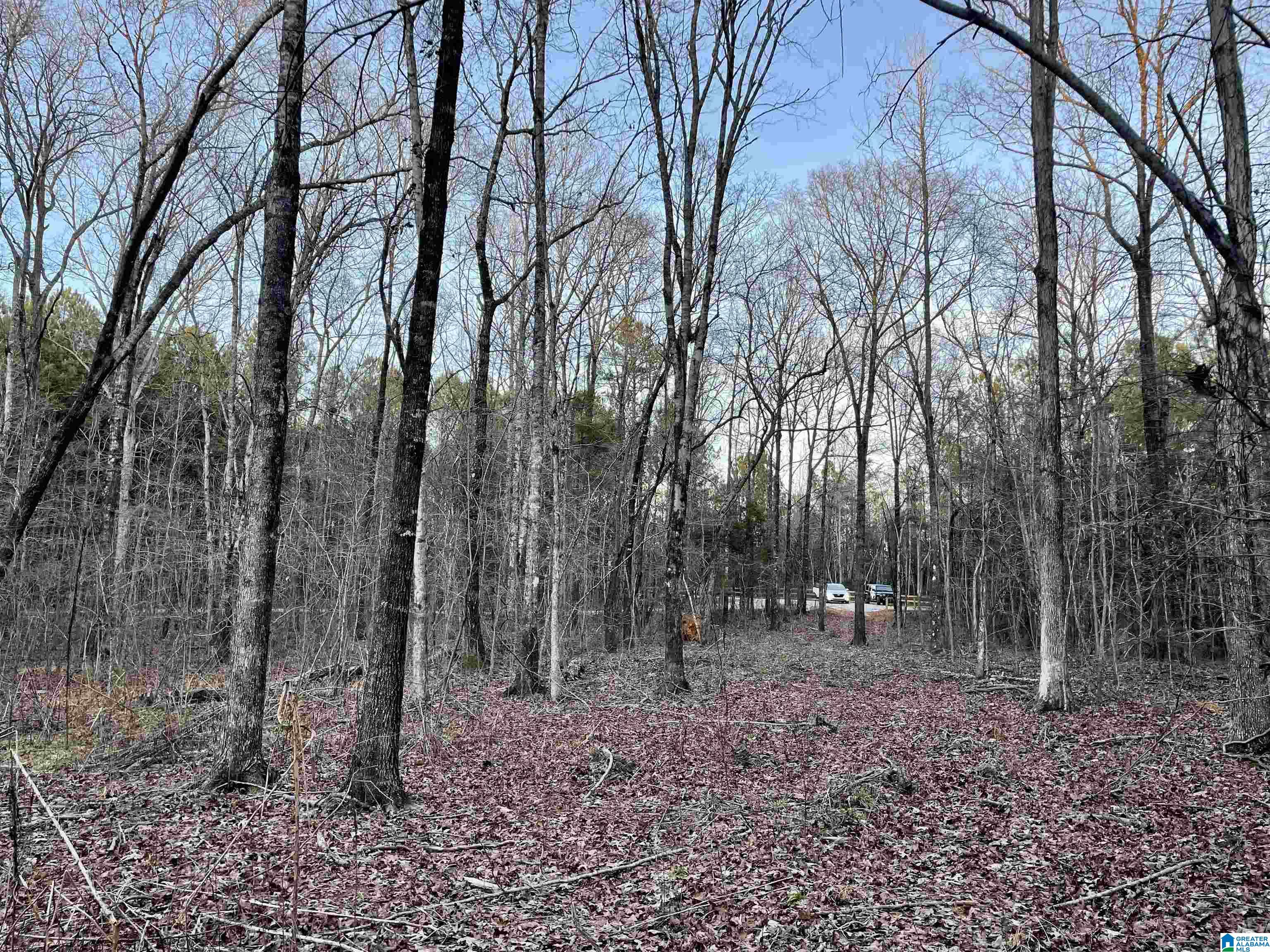 0 Ronbar Road Columbiana, AL 35051 - Photo 4 of 6