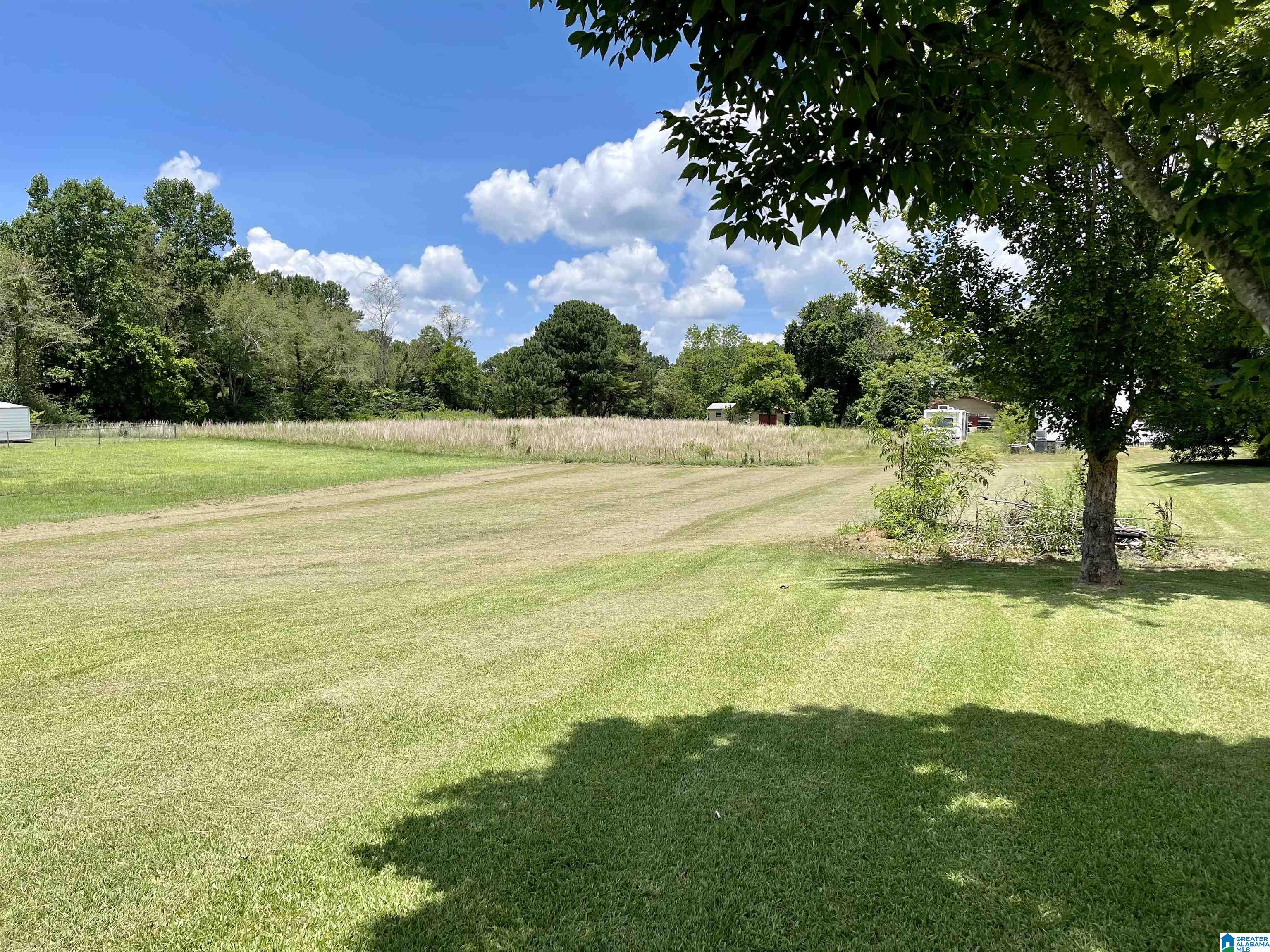 5456 New Found Road Mount Olive, AL 35117 - Photo 6 of 28