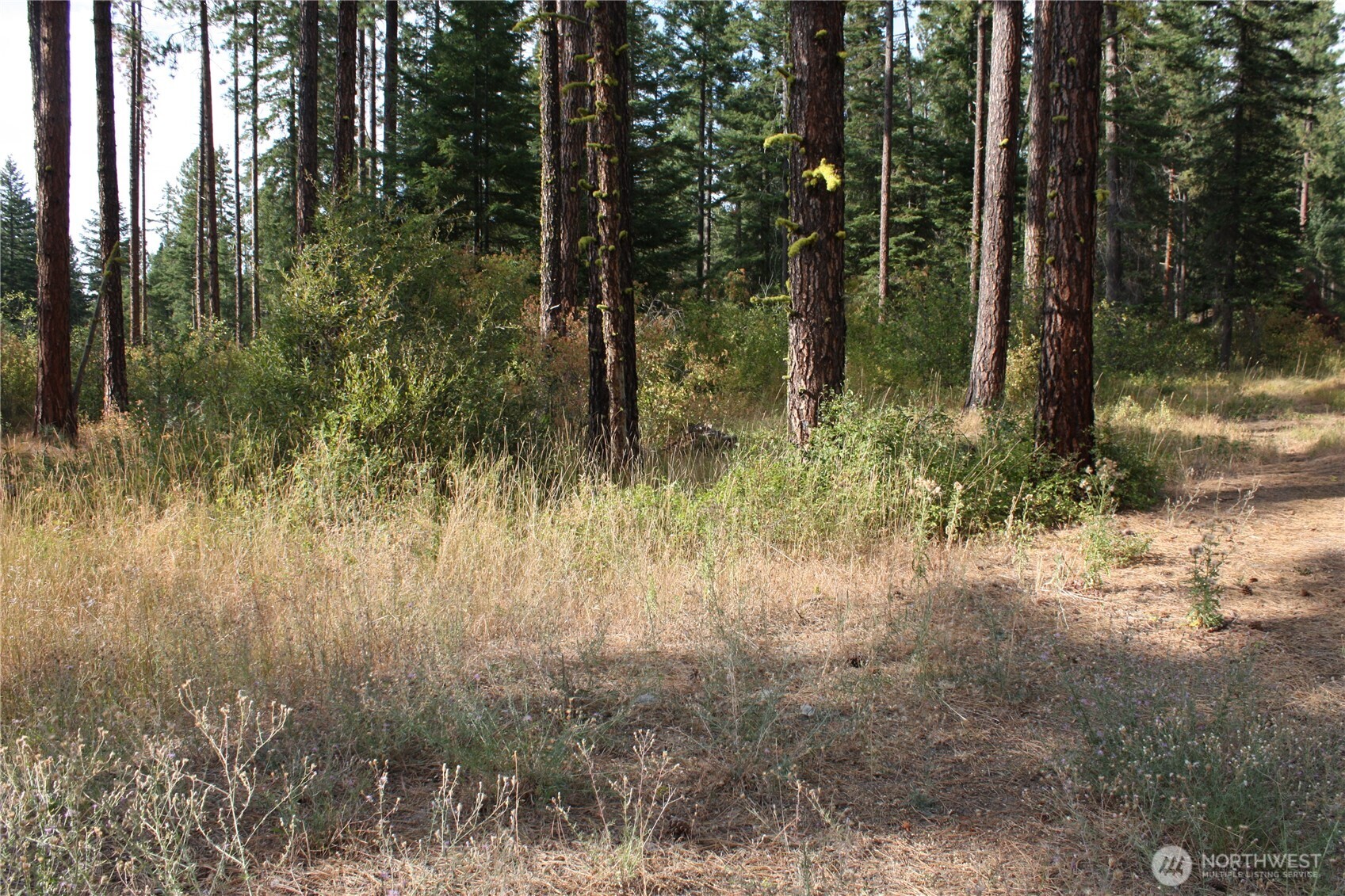 901 Horvatt Road Roslyn, WA 98941 - Photo 1 of 1