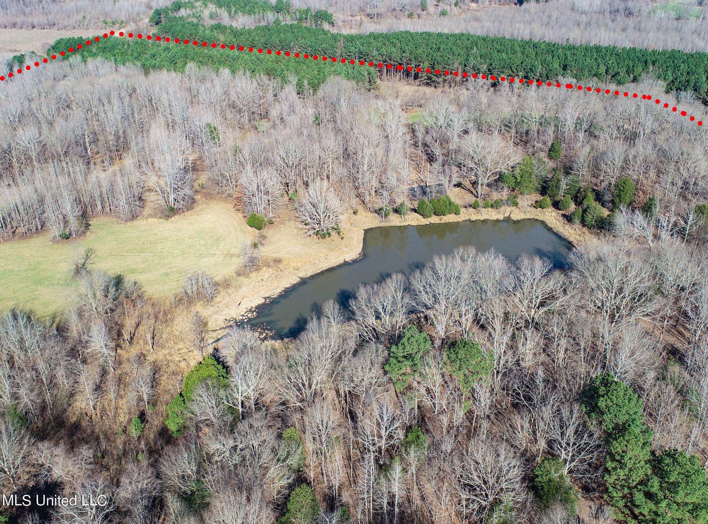1900 Smart Road Como, MS 38619 - Photo 14 of 61 smartroad02a