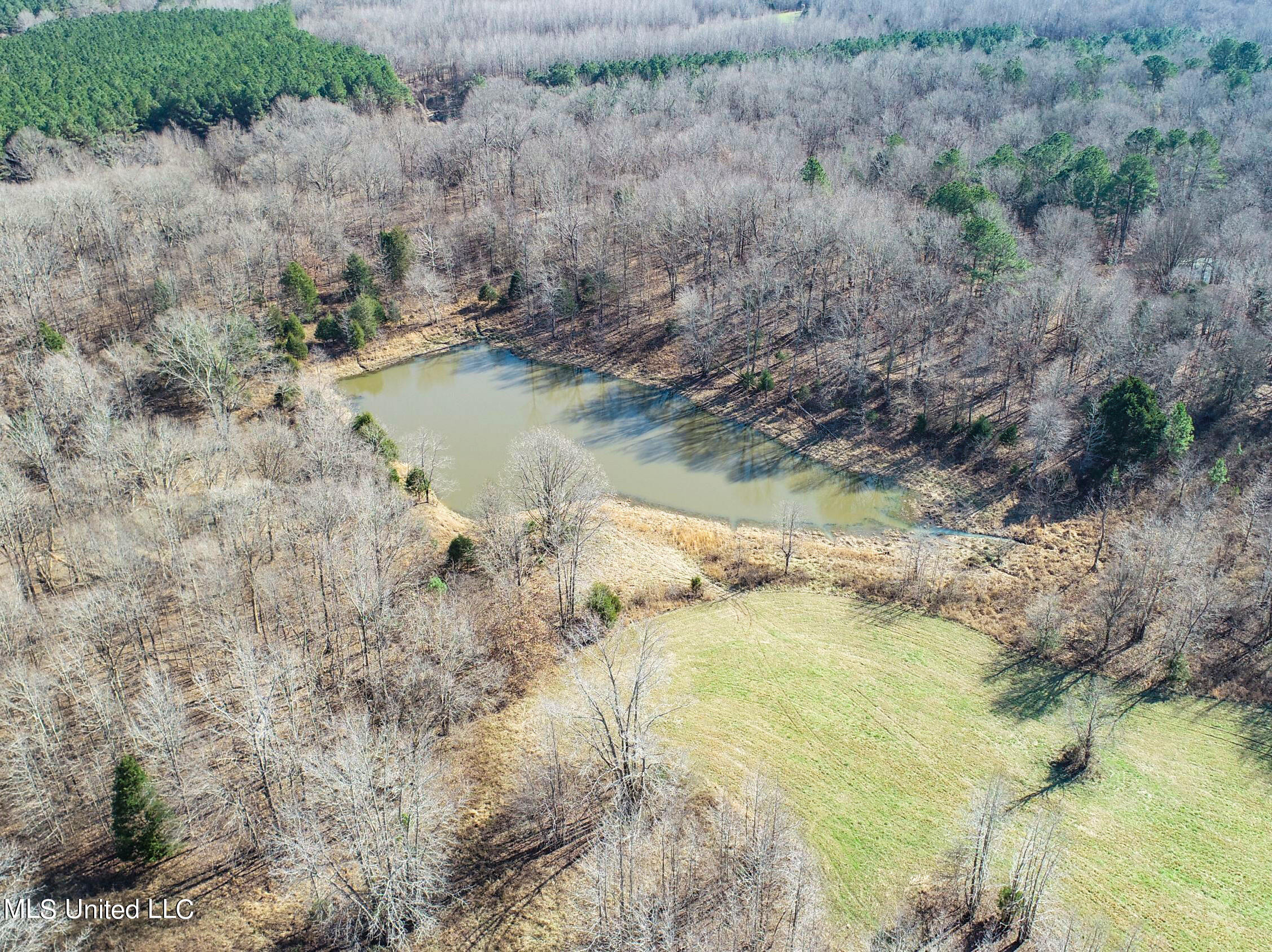 1900 Smart Road Como, MS 38619 - Photo 20 of 61 smartroad10