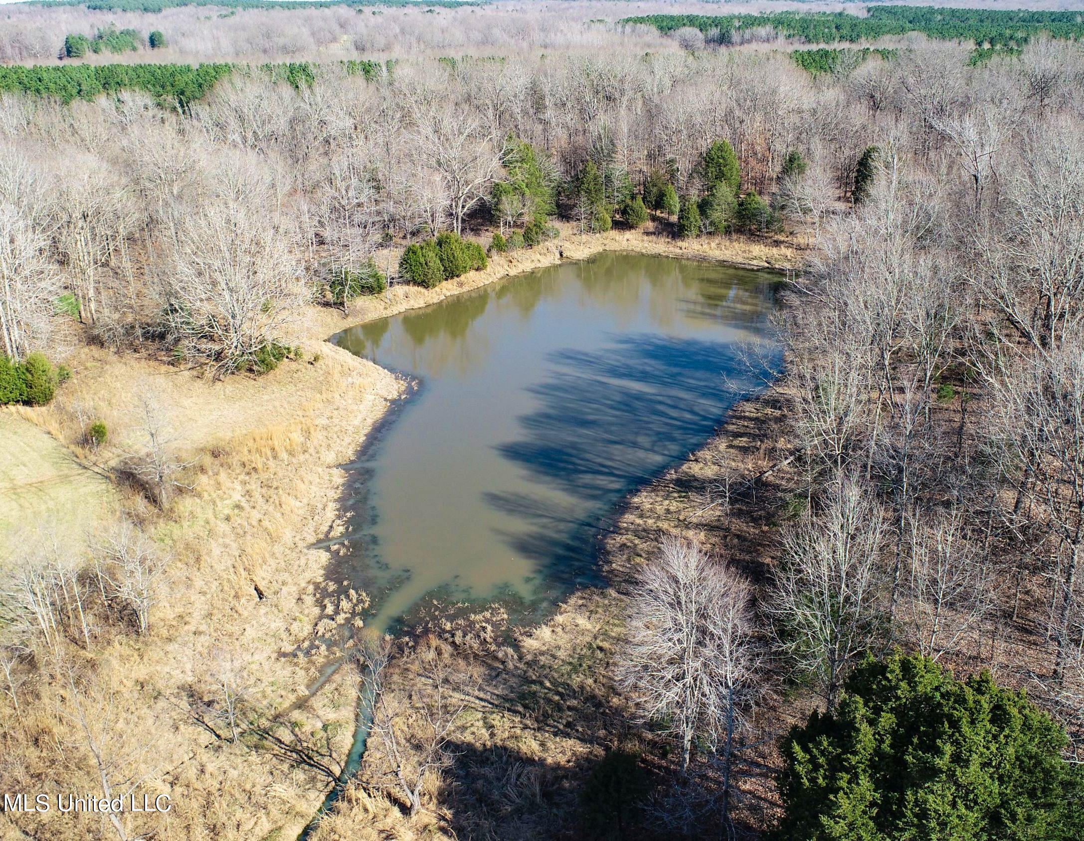 1900 Smart Road Como, MS 38619 - Photo 30 of 61 smartroad15