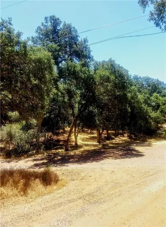 a view of a yard with trees