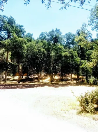a view of a yard with a tree