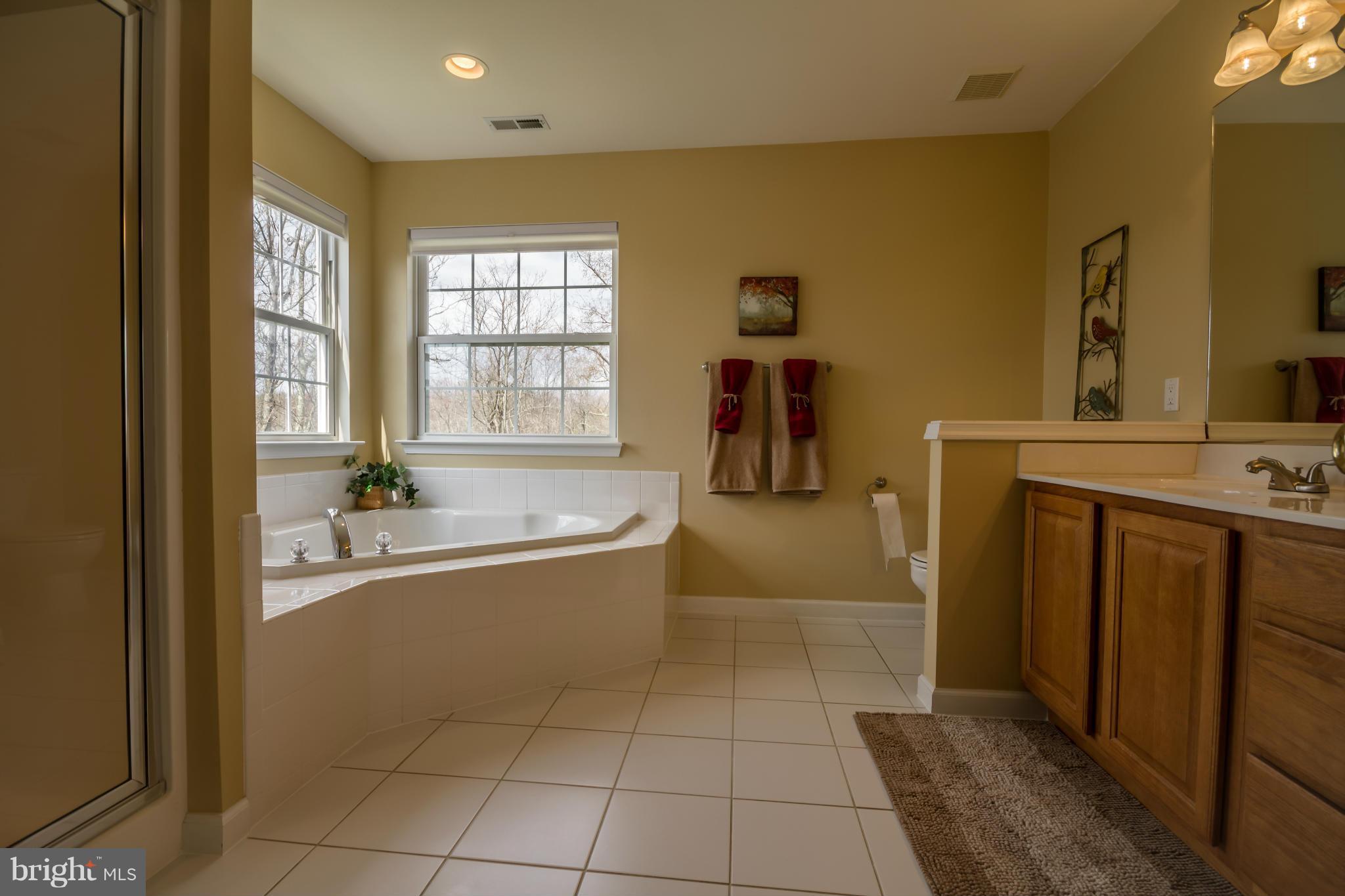 171 Wright Road Winchester, VA 22603 - Photo 19 of 30 a bathroom with a tub sink and mirror