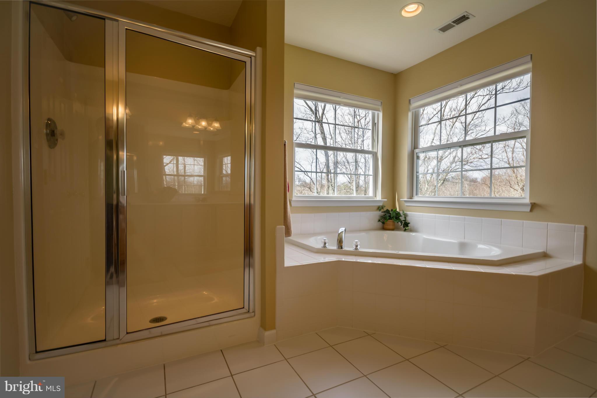171 Wright Road Winchester, VA 22603 - Photo 20 of 30 a bath tub sitting in a bathroom next to a window
