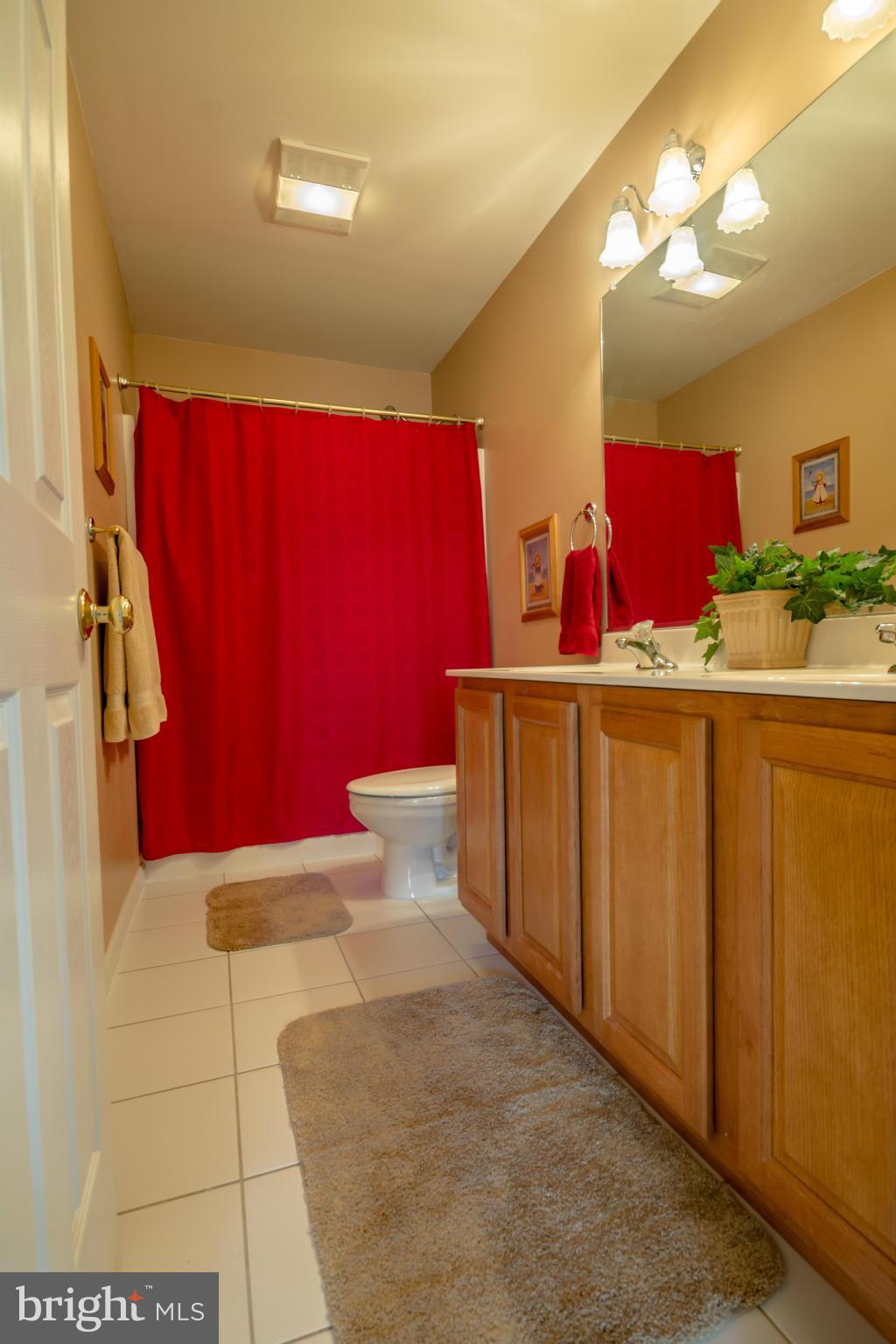 171 Wright Road Winchester, VA 22603 - Photo 23 of 30 a bathroom with a sink vanity and mirror