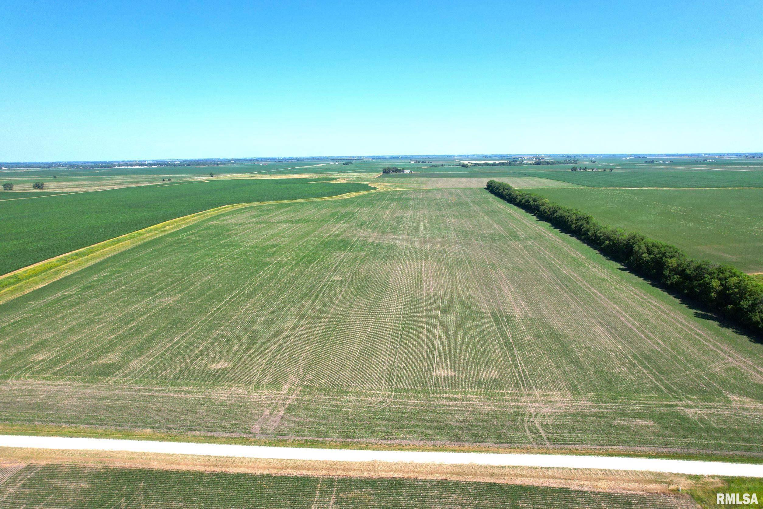 370 North E Road Rankin, IL 60960 - Photo 3 of 10