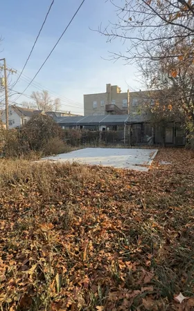 a view of a yard