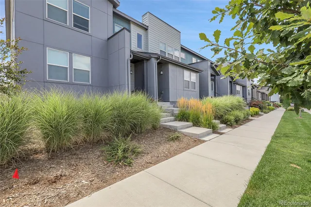 a front view of a house with a yard and trees