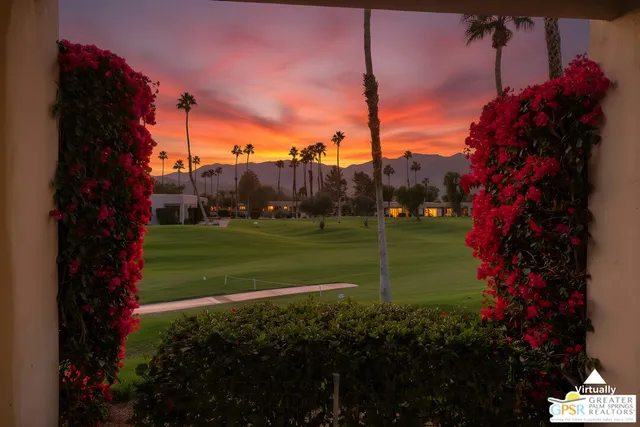 a view of a park with plants
