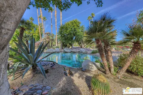 a view of a yard with plants and a wooden fence