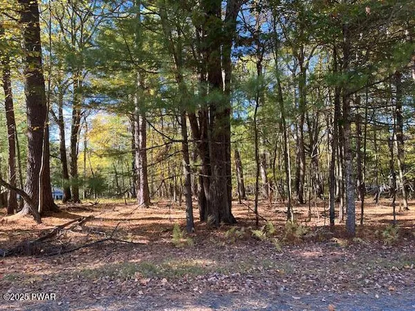 $22,900 | Lot 226 Hound Road, Dingmans Ferry, PA 18328