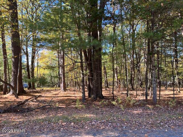 Lot 226 Hound Road Dingmans Ferry, PA 18328 - Photo 1 of 9