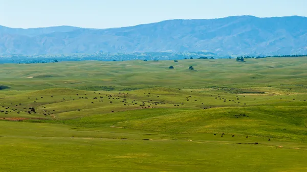 $6,950,000 | Rancho Tehama Road, Corning, CA 96021