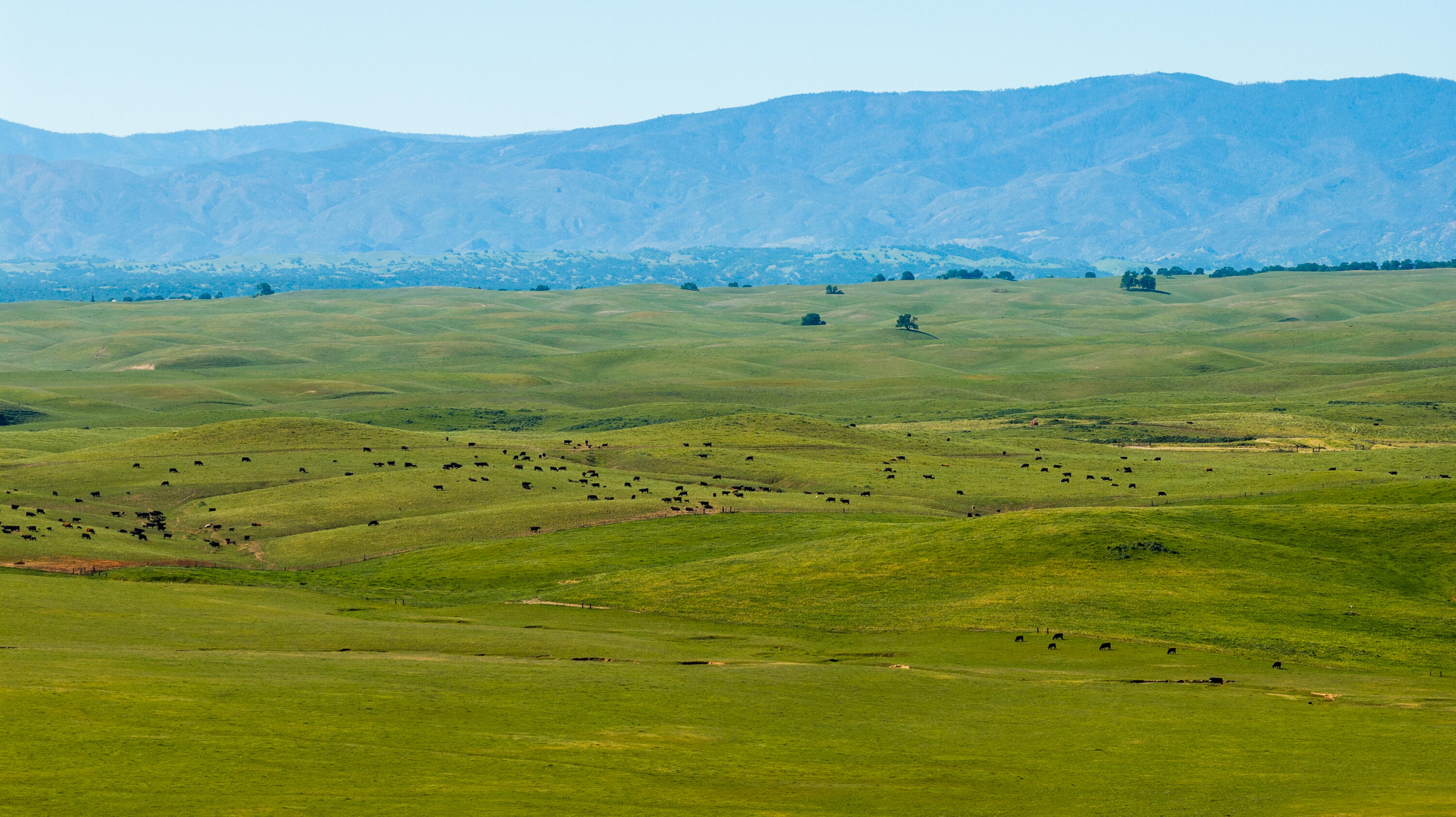 a view of an ocean and a mountain