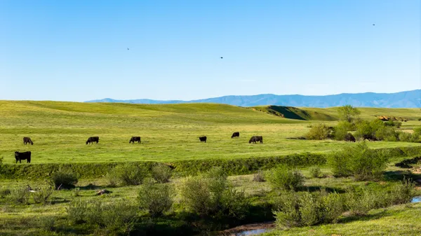 $6,950,000 | Rancho Tehama Road, Corning, CA 96021