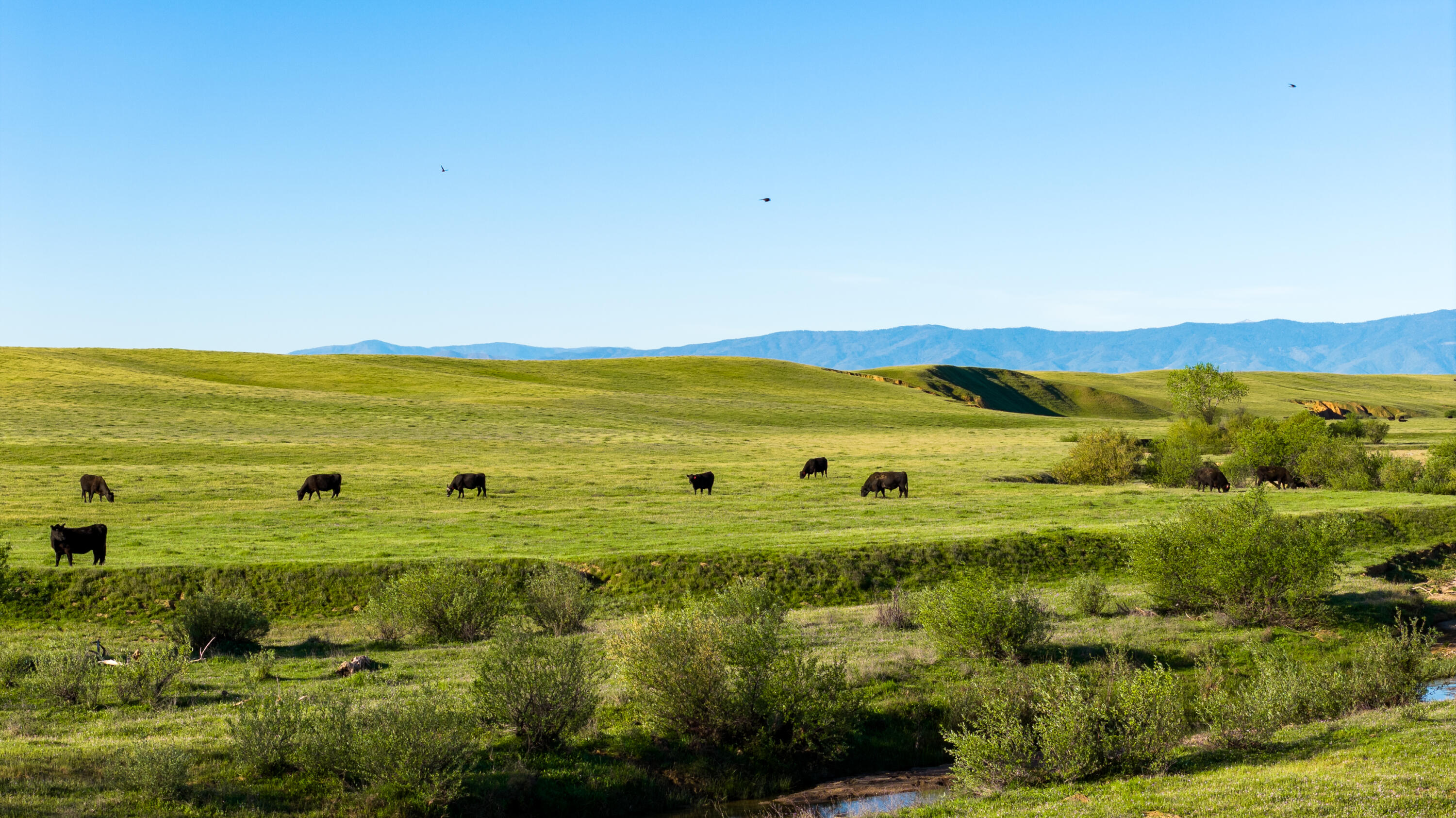 Rancho Tehama Road Corning, CA 96021 - Photo 11 of 20 a view of an ocean and a mountain
