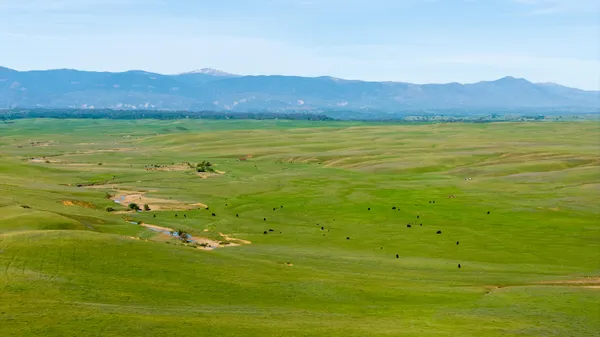 $6,950,000 | Rancho Tehama Road, Corning, CA 96021