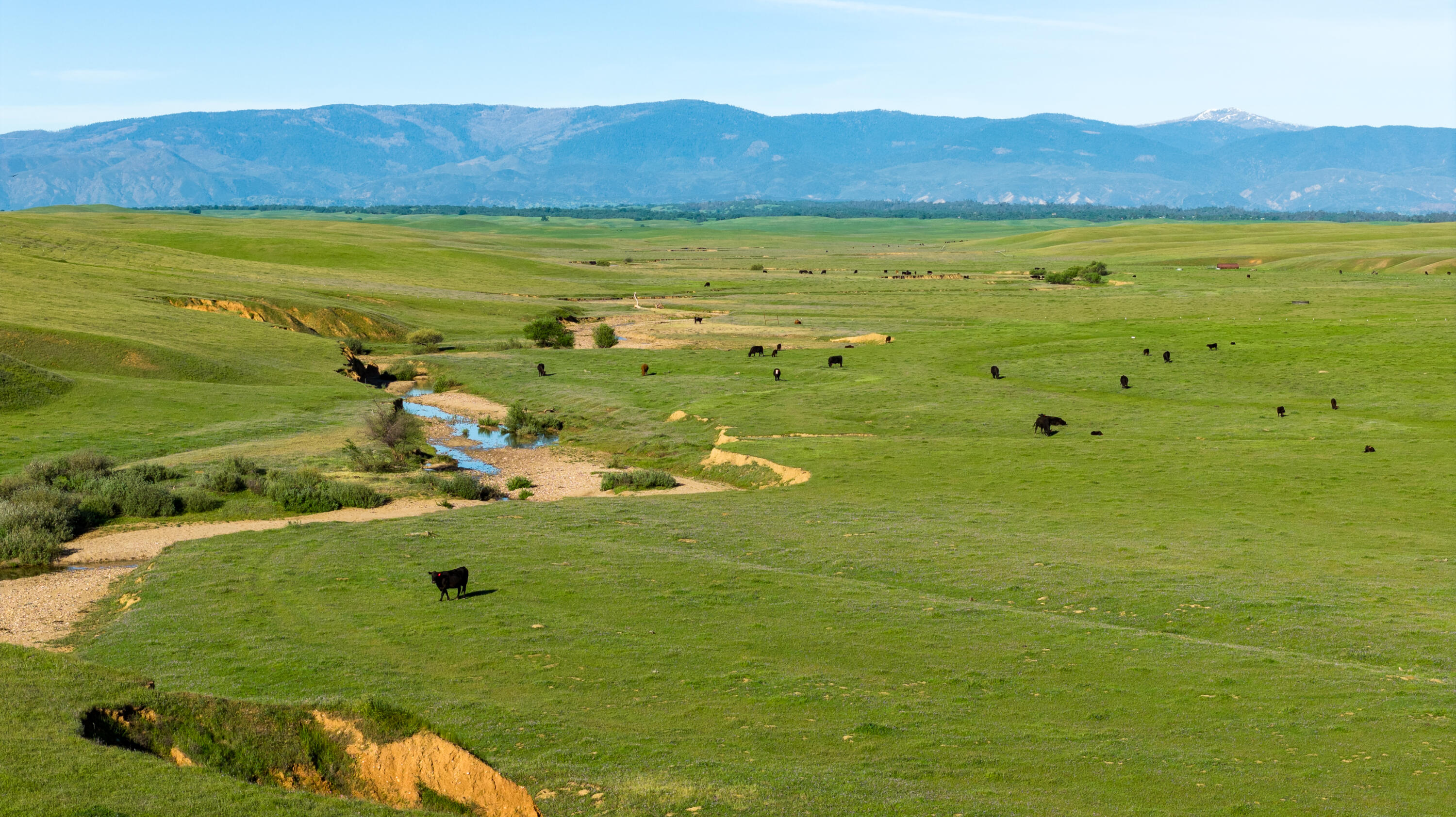 Rancho Tehama Road Corning, CA 96021 - Photo 14 of 20 a view of a field with an ocean