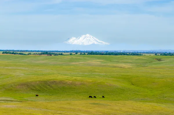 $6,950,000 | Rancho Tehama Road, Corning, CA 96021