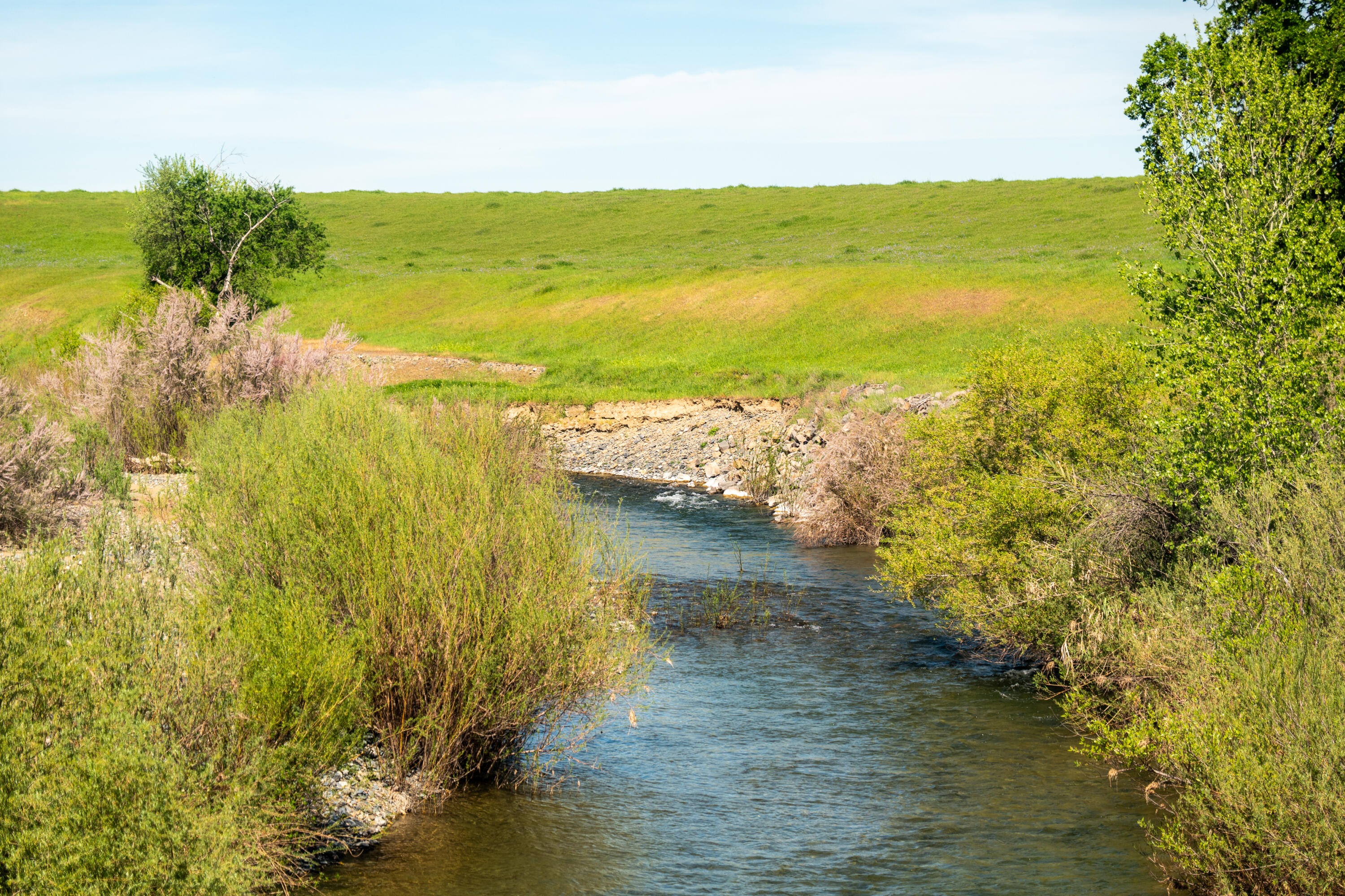 Rancho Tehama Road Corning, CA 96021 - Photo 4 of 20 a view of an ocean from a beach
