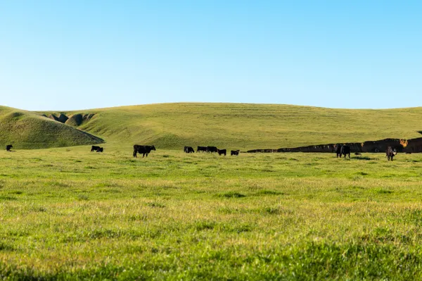 $6,950,000 | Rancho Tehama Road, Corning, CA 96021