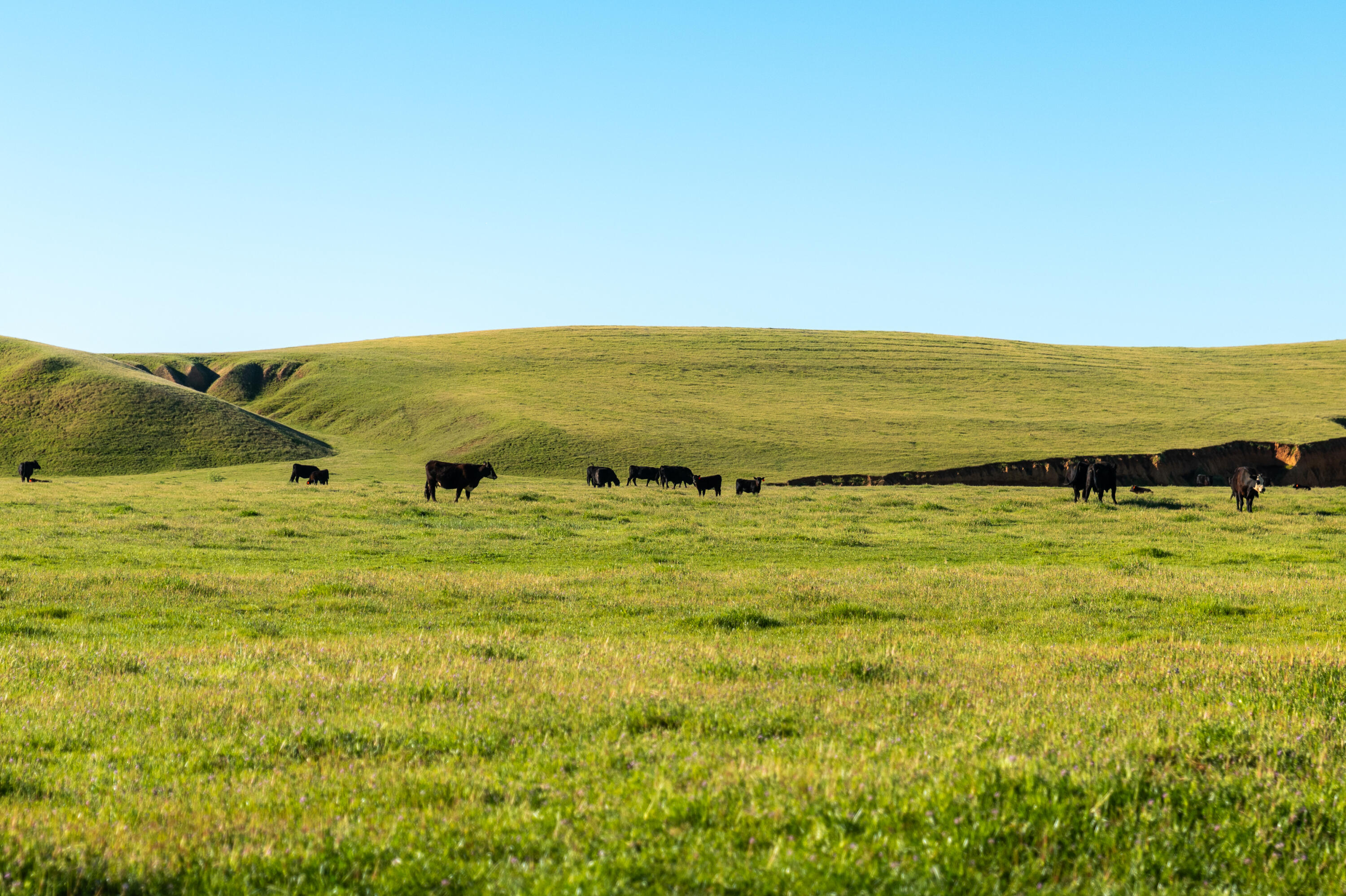 Rancho Tehama Road Corning, CA 96021 - Photo 7 of 20 a view of an ocean view