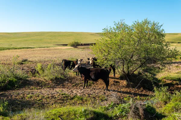 $6,950,000 | Rancho Tehama Road, Corning, CA 96021