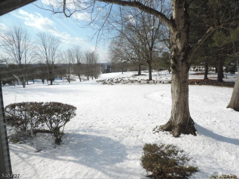27 Alexandria Way, Unit 27 Bernards, NJ 07920 - Photo 1 of 19 a view of a yard covered with snow