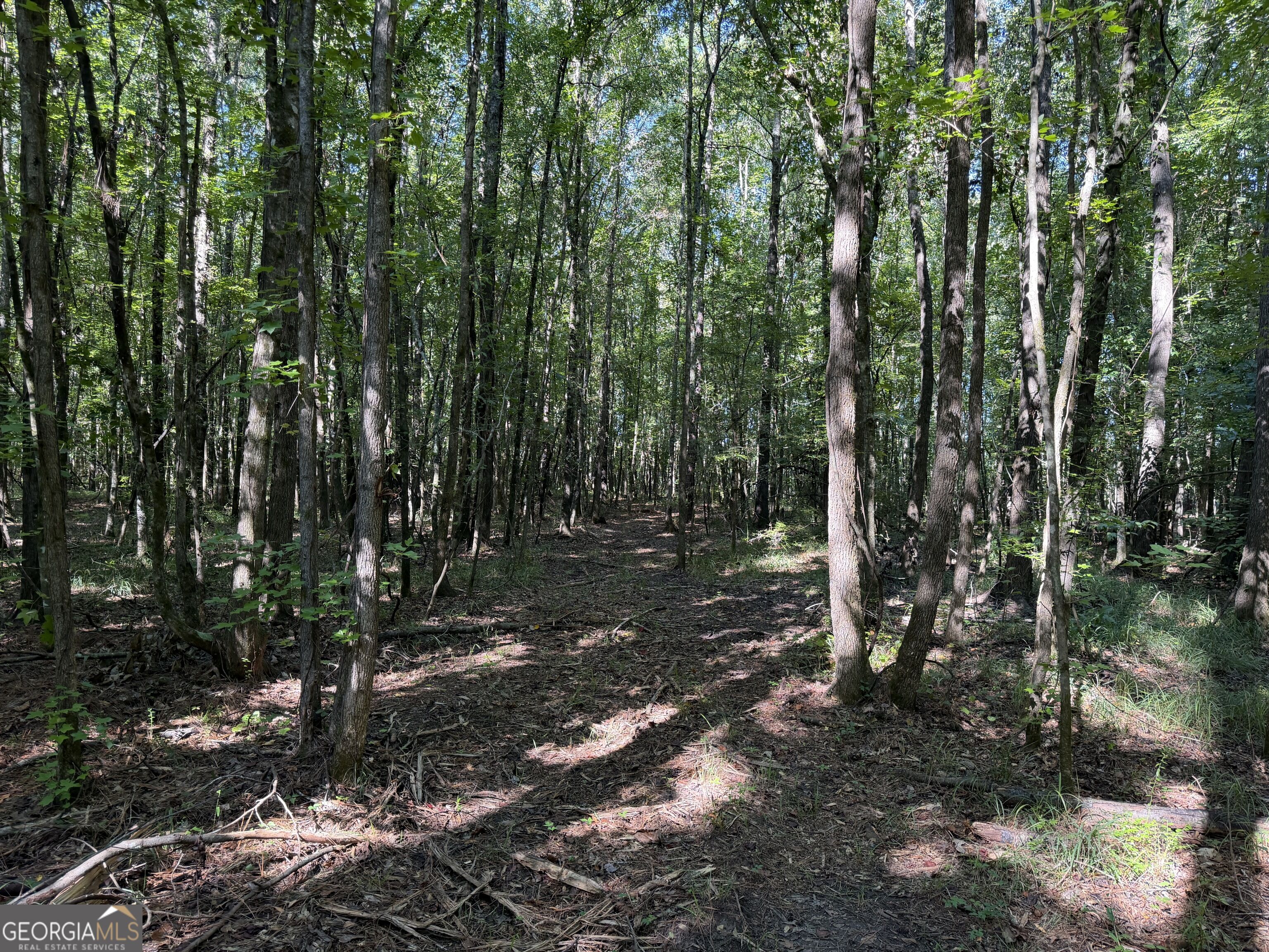0 Pig Road Bartow, GA 30413 - Photo 14 of 44 Gallery Image 14