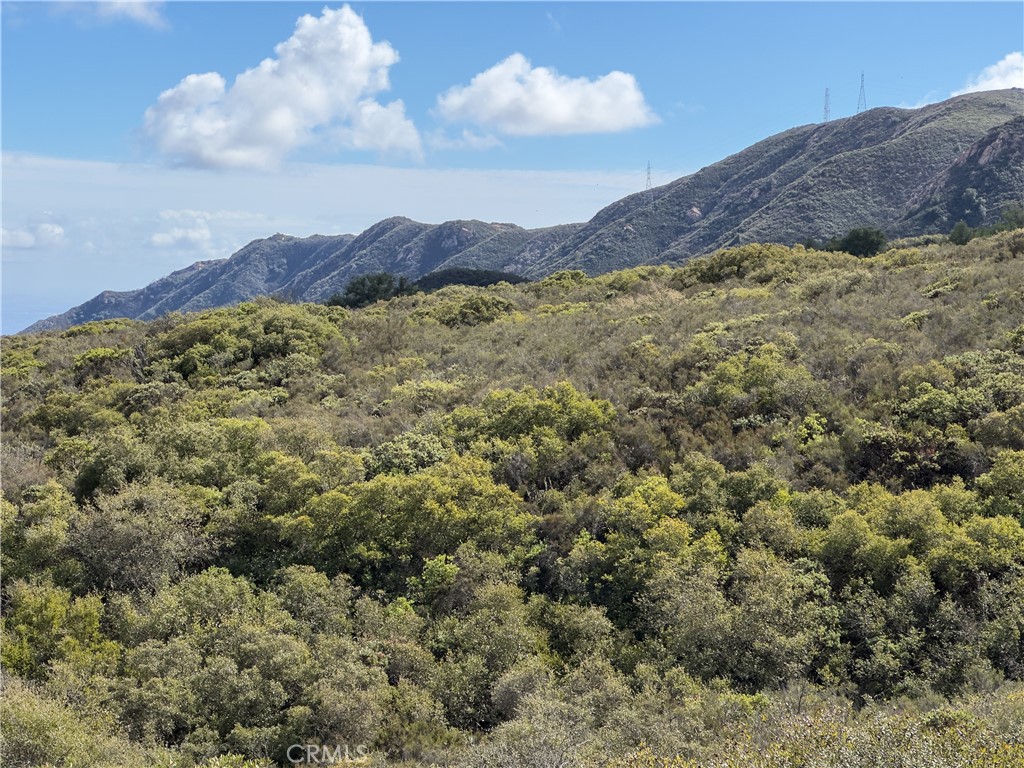 20861 Porter Ranch Trabuco Canyon, CA 92679 - Photo 74 of 74