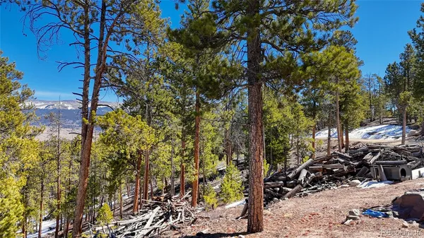 $69,900 | 1335 Sequoia Drive, Twin Lakes, CO 81251