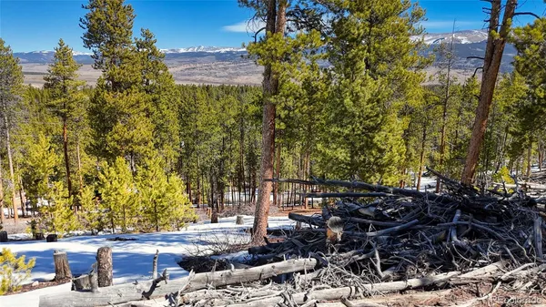 $69,900 | 1335 Sequoia Drive, Twin Lakes, CO 81251